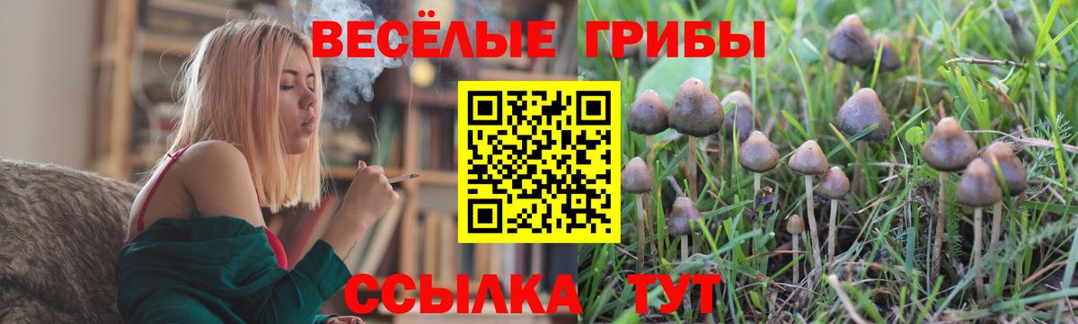 Лесной  Галлюциногенные грибы ЛСД  Псилоцибиновые грибы мицелий  Вход с VPN 